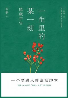 一生里的某一刻：隐藏宇宙