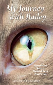 My Journey with Bailey