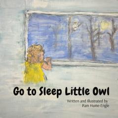 Go To Sleep Little Owl