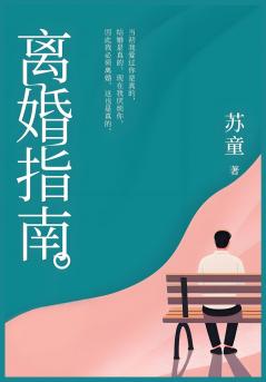 离婚指南：苏童经典中篇小说