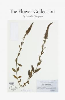 The Flower Collection