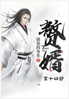 赘婿：第十四部