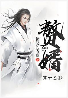 赘婿：第十三部