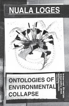 Ontologies of Environmental Collapse