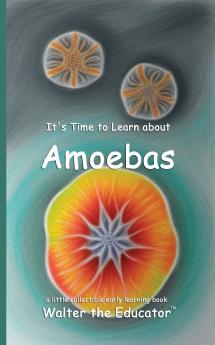 It's Time to Learn about Amoebas