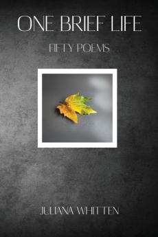 One Brief Life