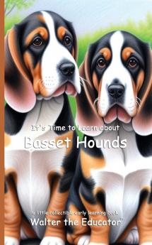 It's Time to Learn about Basset Hounds