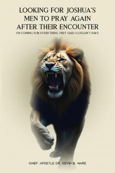 LOOKING FOR JOSHUA'S MEN TO PRAY AGAIN AFTER THEIR ENCOUNTER