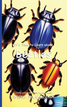 It's Time to Learn about Beetles