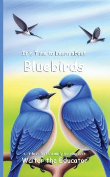 It's Time to Learn about Bluebirds