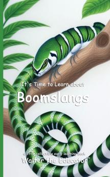 It's Time to Learn about Boomslangs