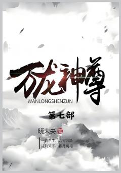 万龙神尊：第七部