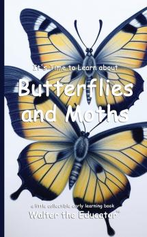 It's Time to Learn about Butterflies and Moths