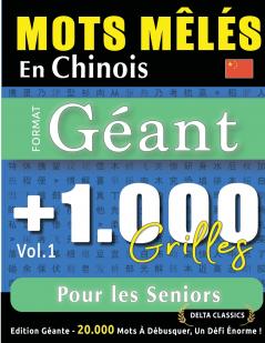 MOTS MÊLÉS EN CHINOIS FORMAT GÉANT