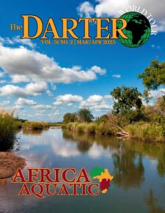 The Darter