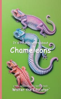 It's Time to Learn about Chameleons