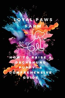 How to Raise a Dachshund Puppy