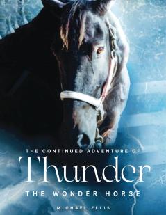 Thunder the Wonder Horse