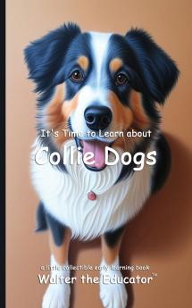 It's Time to Learn about Collie Dogs