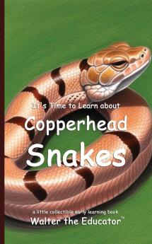 It's Time to Learn about Copperhead Snakes