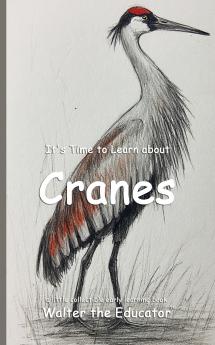 It's Time to Learn about Cranes