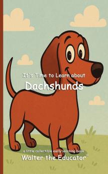 It's Time to Learn about Dachshunds