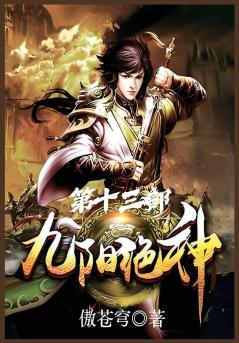 九阳绝神：第十三部
