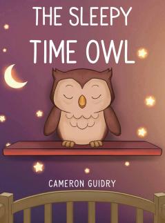 The Sleepy Time Owl
