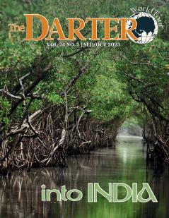 The Darter