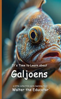 It's Time to Learn about Galjoens