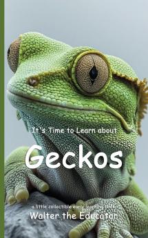 It's Time to Learn about Geckos