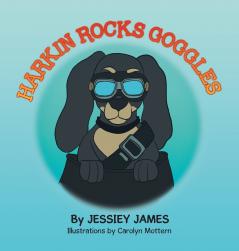 HARKIN ROCKS GOGGLES