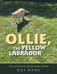 OLLIE THE YELLOW LABRADOR