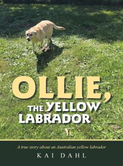 OLLIE THE YELLOW LABRADOR