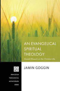 An Evangelical Spiritual Theology