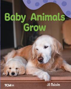 Baby Animals Grow
