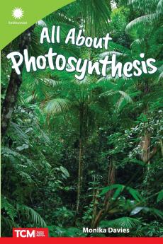 All About Photosynthesis
