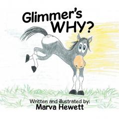 Glimmer's WHY?