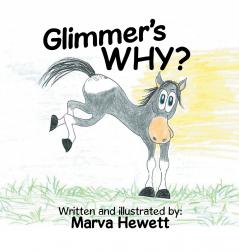 Glimmer's WHY?