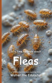It's Time to Learn about Fleas
