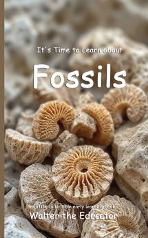 It's Time to Learn about Fossils