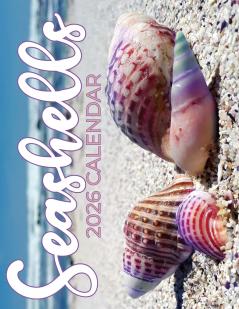 Seashells 2026 Calendar