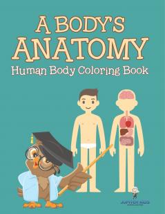 A Body's Anatomy