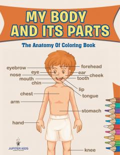 My Body And Its Parts