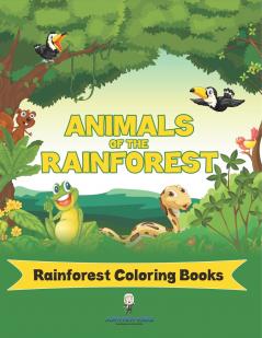 Animals Of The Rainforest