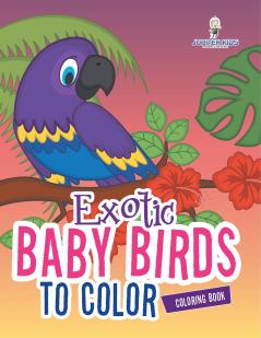Exotic Baby Birds to Color Coloring Book