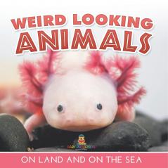 Weird Looking Animals On Land and On The Sea