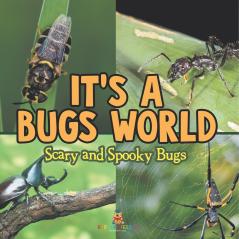 Its A Bugs World