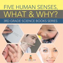 Five Human Senses What & Why?