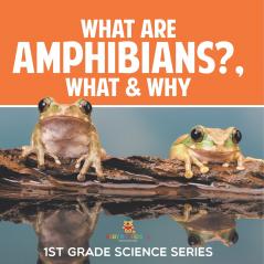 What Are Amphibians? What & Why